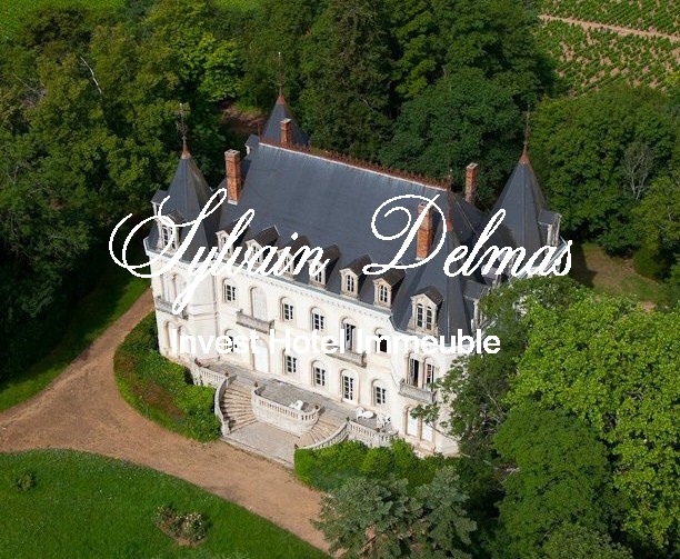 Prestigieux Chateau Domaine Viticole