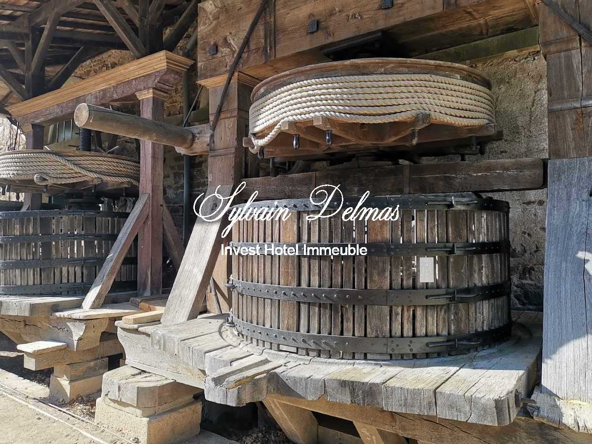 Prestigieux Chateau Domaine Viticole
