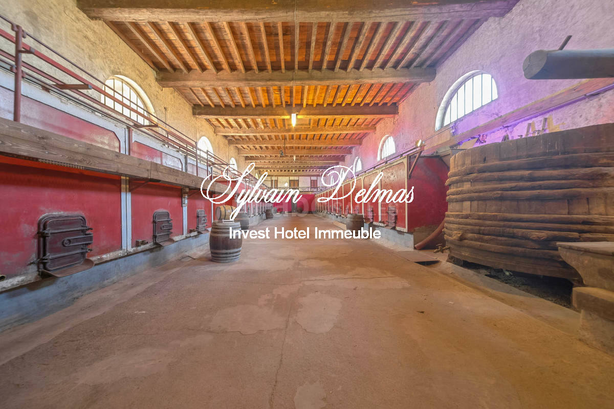 Prestigieux Chateau Domaine Viticole