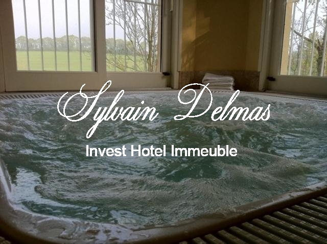 Château hôtel restaurant - 3* - 41 chambres à mi chemin entre TOURS et le Mont Saint Michel