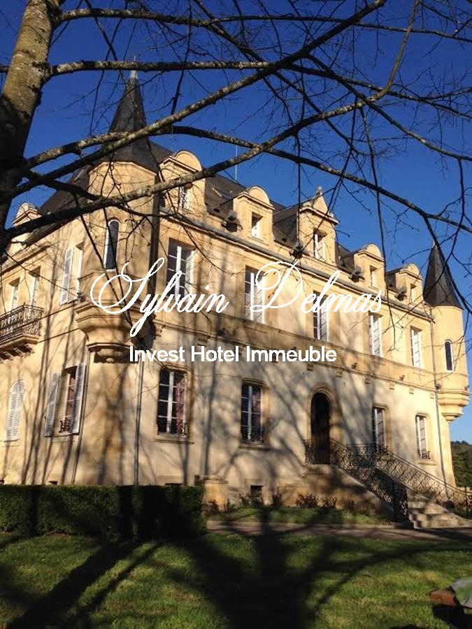 Château hôtel Directoire 4*  42 chambres au cœur de la Dordogne