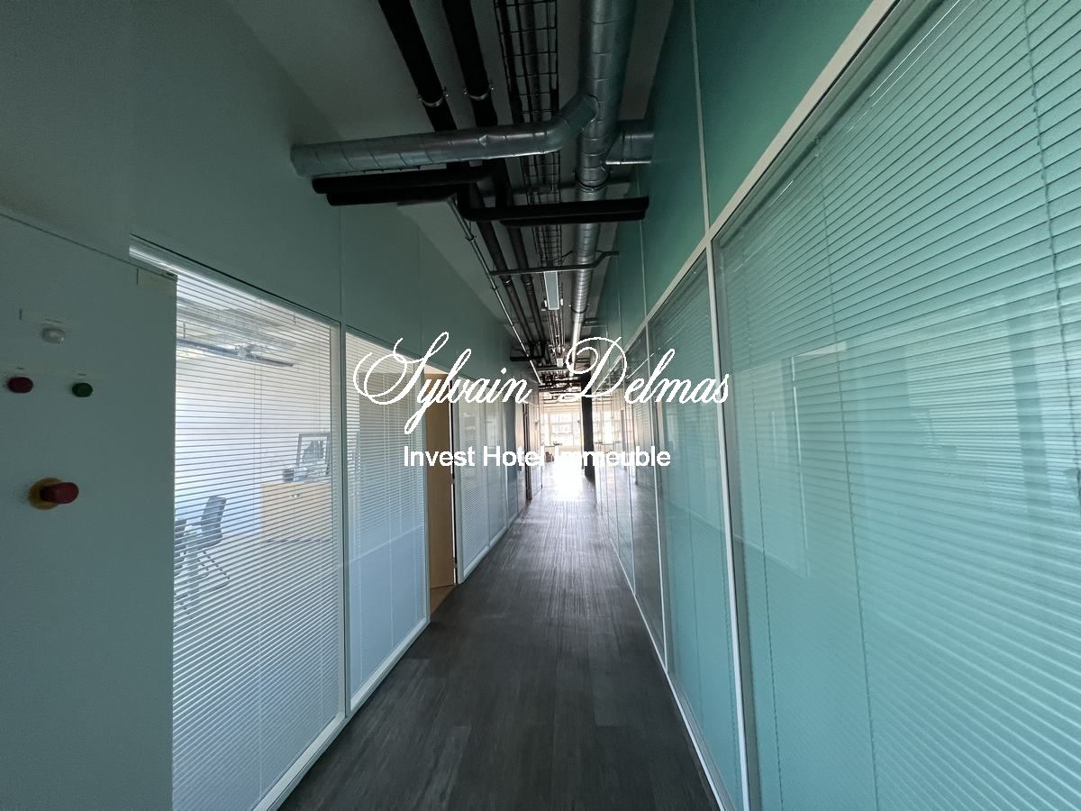 LOCAUX  INDSUSTRIELS BUREAUX ET STOCKAGES TOURS SUD