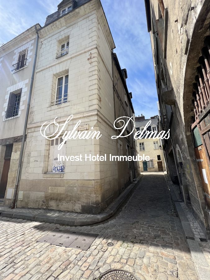 Immeuble à vendre à TOURS de 290m²