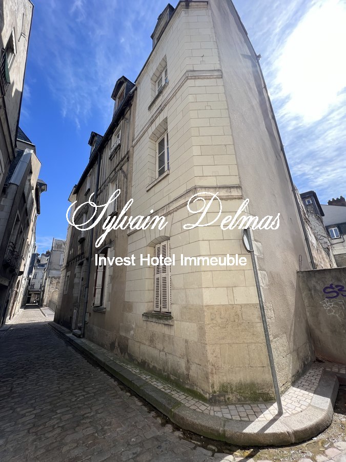 Immeuble à vendre à TOURS de 290m²