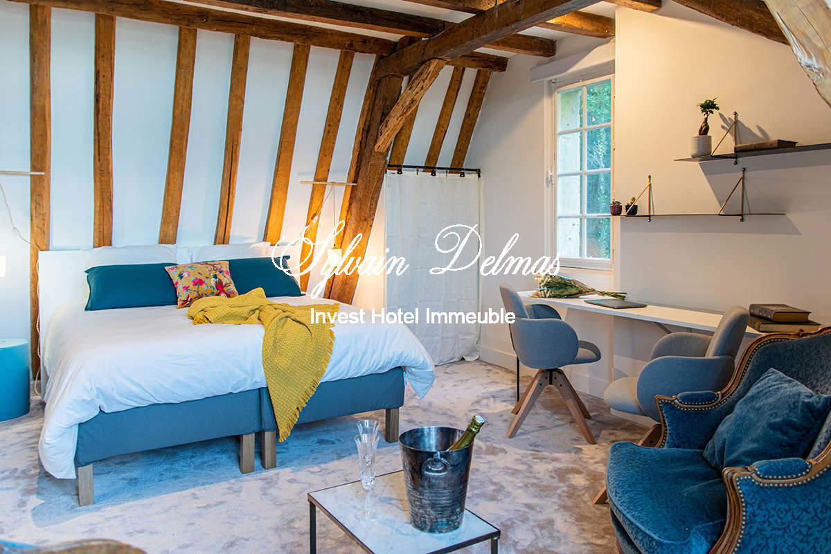 A VENDRE Château à 20 km de Tours centre accès A85 Entièrement  restauré sur 10 hectares