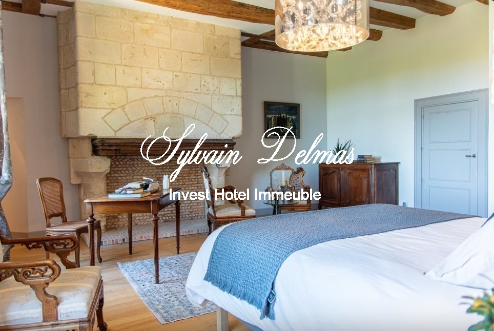 A VENDRE Château à 20 km de Tours centre accès A85 Entièrement  restauré sur 10 hectares