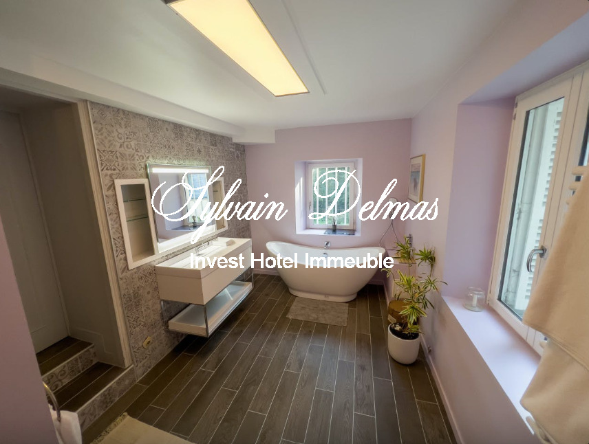 A VENDRE Château à 20 km de Tours centre accès A85 Entièrement  restauré sur 10 hectares