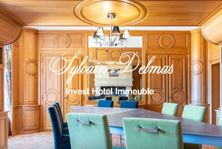 A VENDRE Château à 20 km de Tours centre accès A85 Entièrement  restauré sur 10 hectares