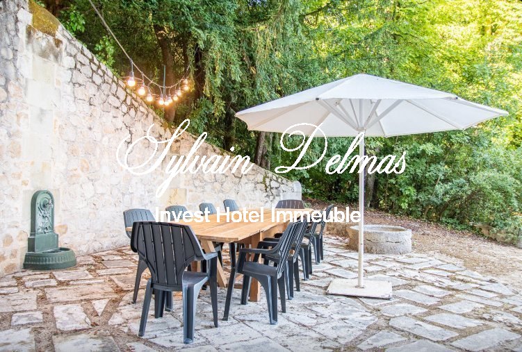 A VENDRE Château à 20 km de Tours centre accès A85 Entièrement  restauré sur 10 hectares