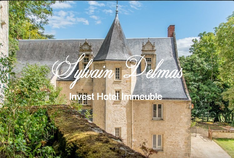 A VENDRE Château à 20 km de Tours centre accès A85 Entièrement  restauré sur 10 hectares