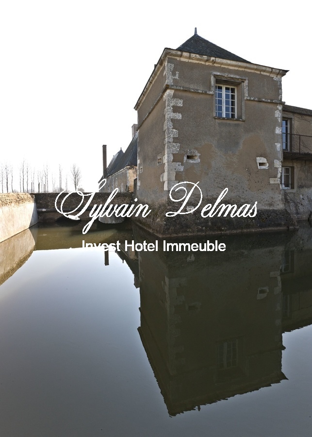 A vendre authentique château du XVI et XVIIIème
