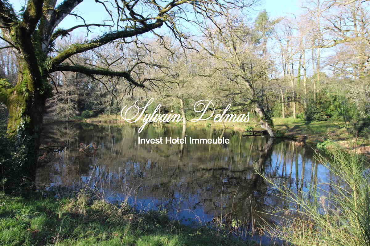 A VENDRE CHATEAU XVII ÈME PROCHE DE RENNES