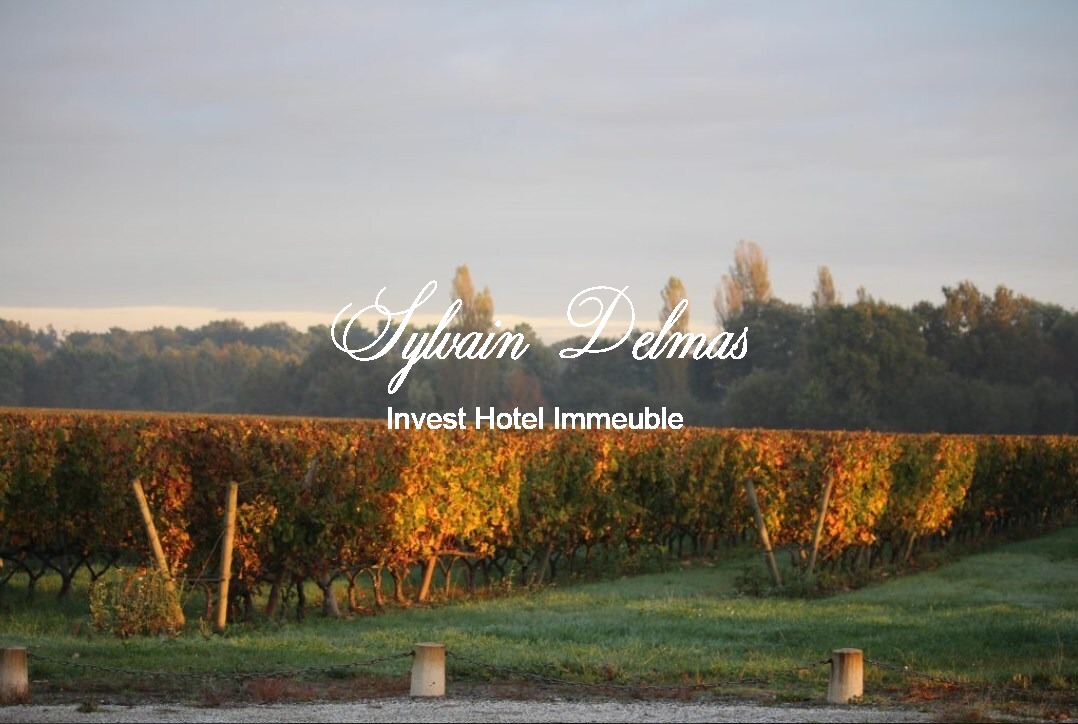 Prestigieux vignoble Bordelais sur 67 hectares