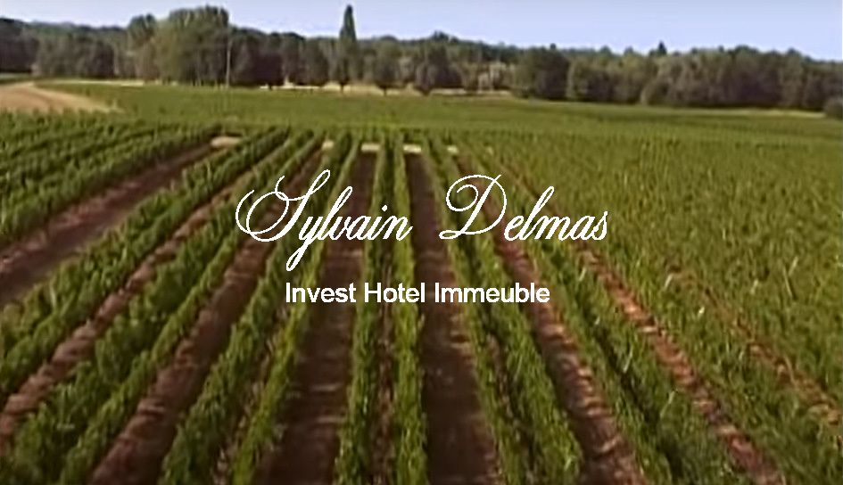 Prestigieux vignoble Bordelais sur 67 hectares