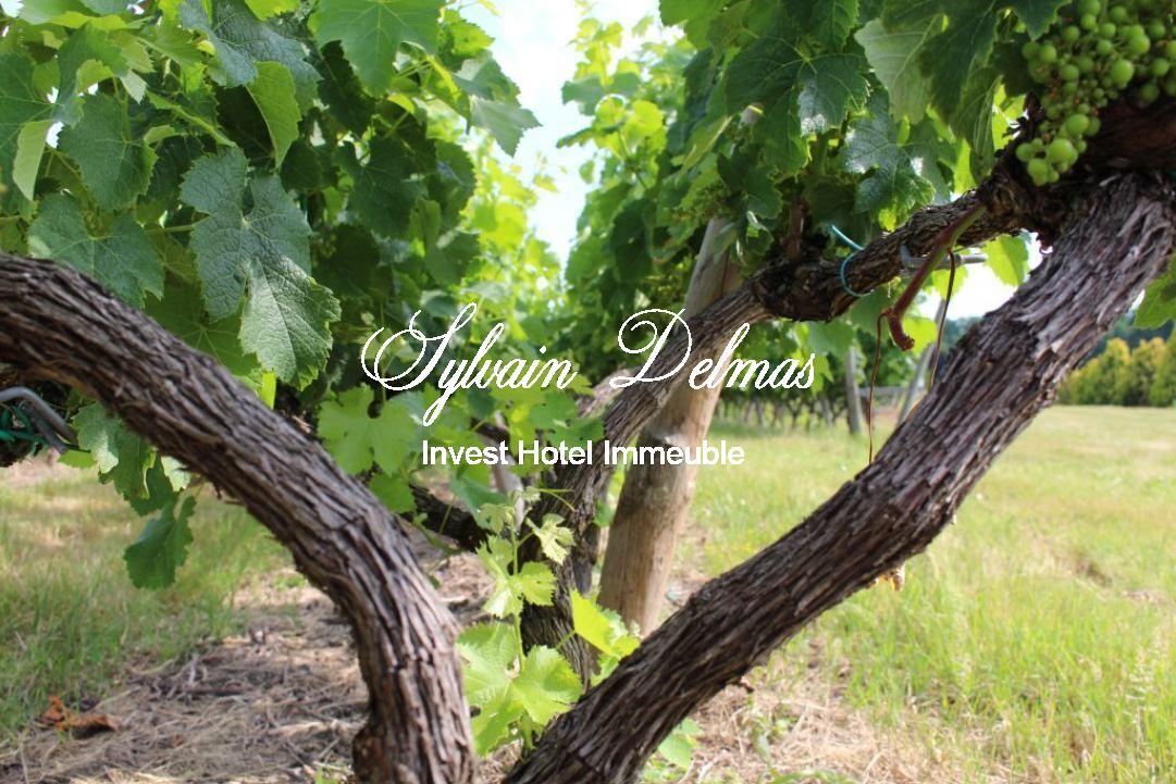 Prestigieux vignoble Bordelais sur 67 hectares