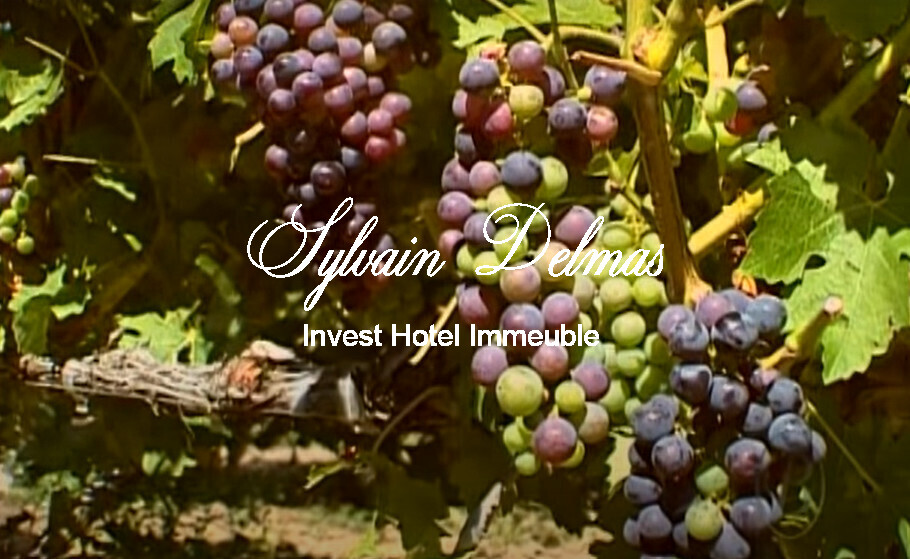 Prestigieux vignoble Bordelais sur 67 hectares