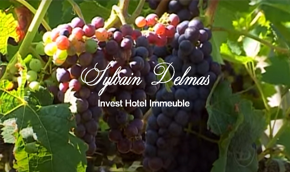 Prestigieux vignoble Bordelais sur 67 hectares