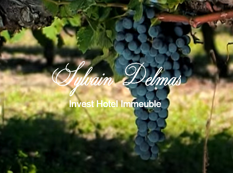 Prestigieux vignoble Bordelais sur 67 hectares
