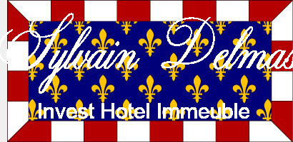 COMPLEXE HÔTELIER FORT POTENTIEL ET EMPLACEMENT N°1  TOURS