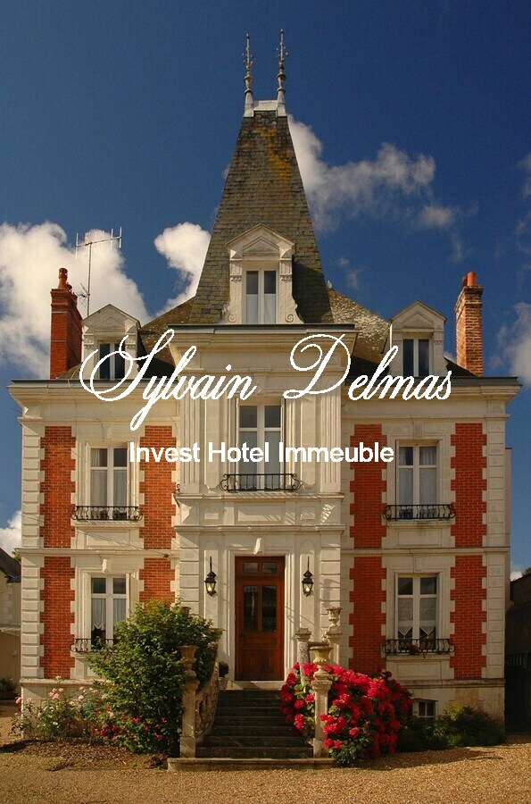 MANOIR PLEIN CENTRE D'AMBOISE avec un gros potentiel d'hébergements touristiques