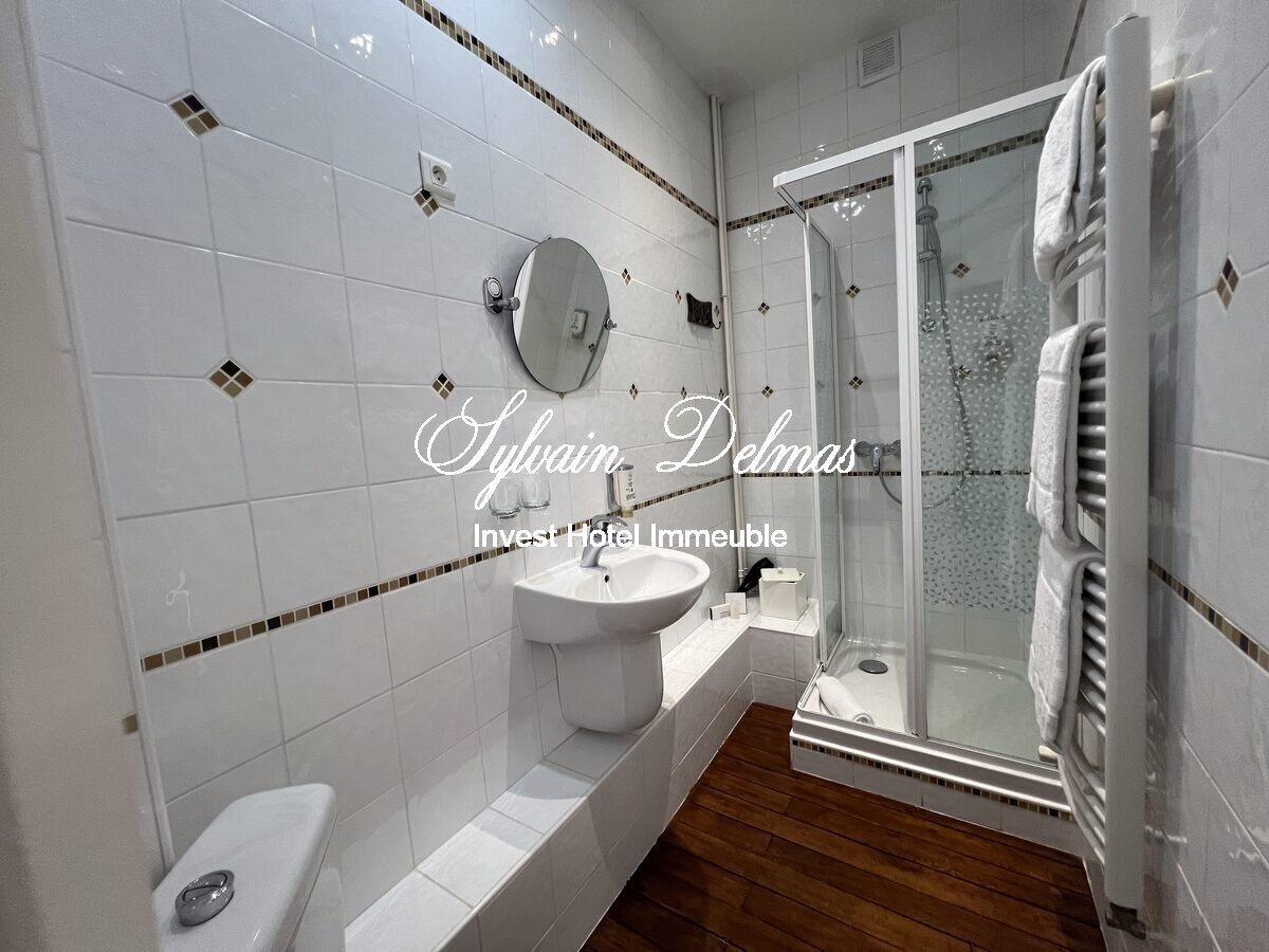 MANOIR PLEIN CENTRE D'AMBOISE avec un gros potentiel d'hébergements touristiques