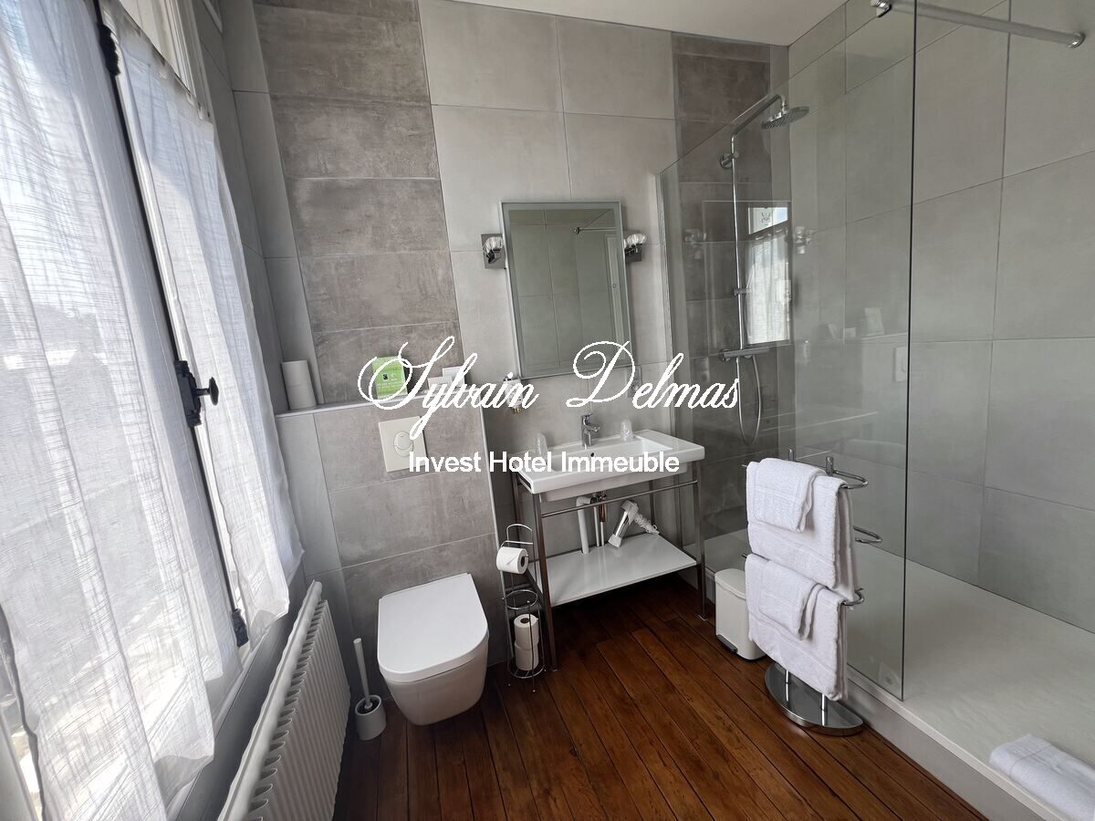 MANOIR PLEIN CENTRE D'AMBOISE avec un gros potentiel d'hébergements touristiques