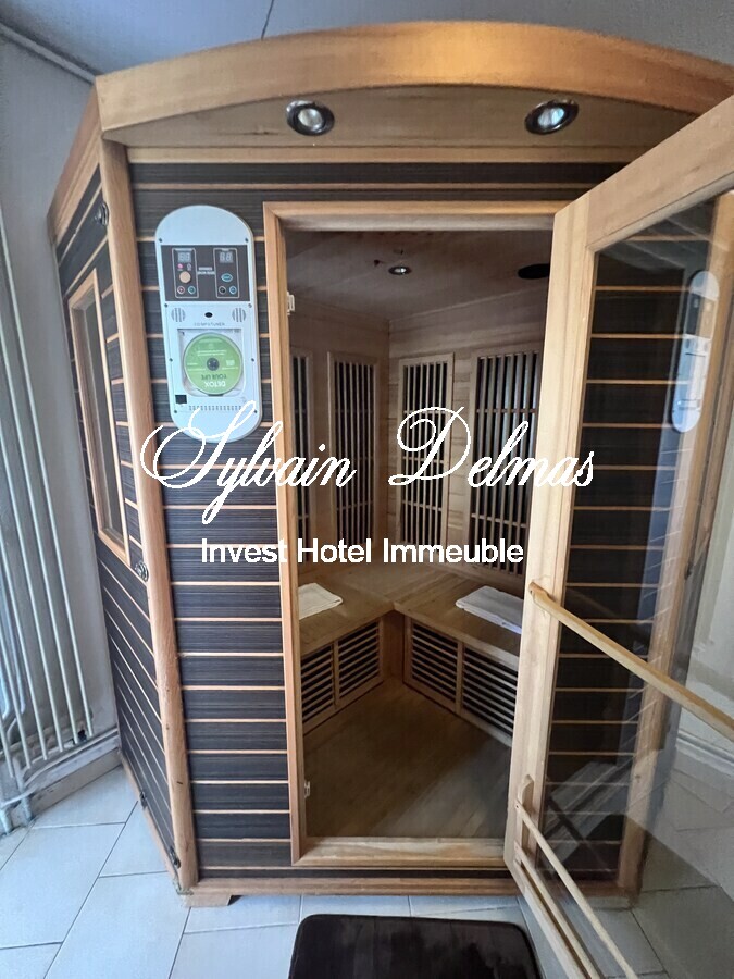 MANOIR PLEIN CENTRE D'AMBOISE avec un gros potentiel d'hébergements touristiques