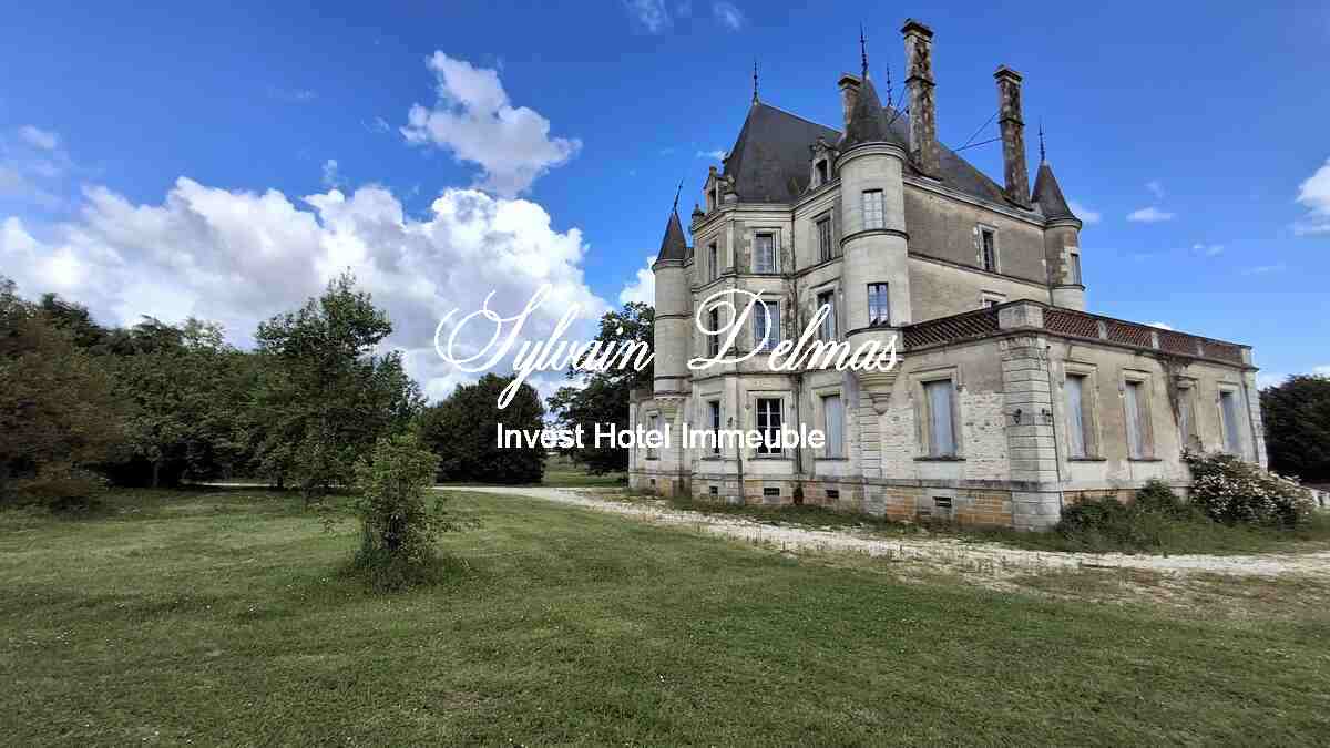 Château XIX eme ideal pour hôtel restaurant clos de murs.
