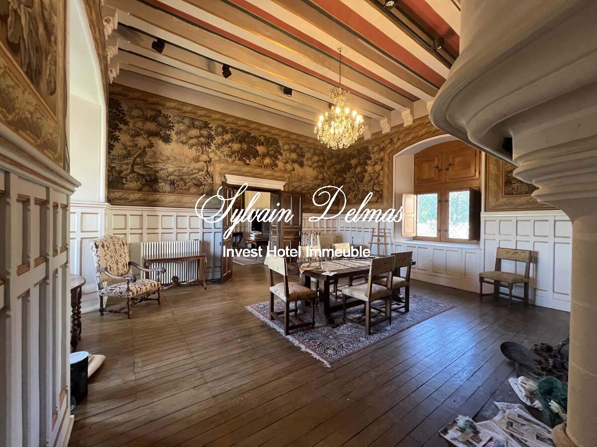 Château historique du XVe siècle