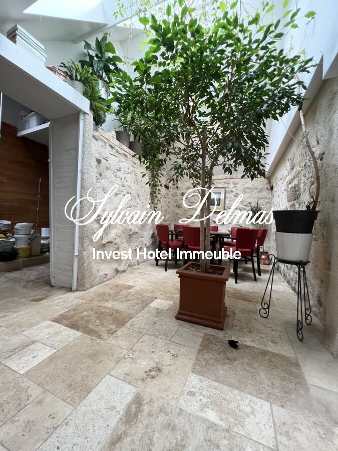 Maison XIX ème en tuffeaux quartier cathédrale Tours 240 M2