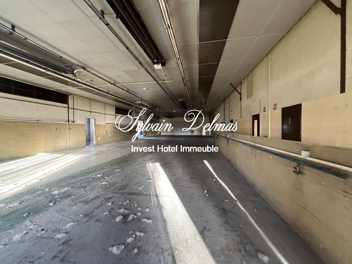 LOCAUX INDUSTRIELS   NAZELLE NEGRON