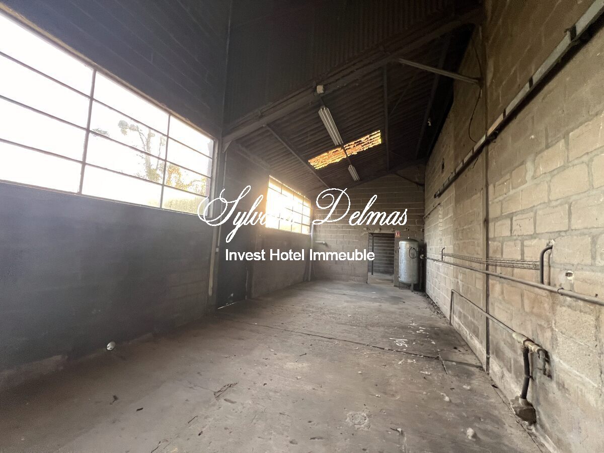 LOCAUX INDUSTRIELS   NAZELLE NEGRON