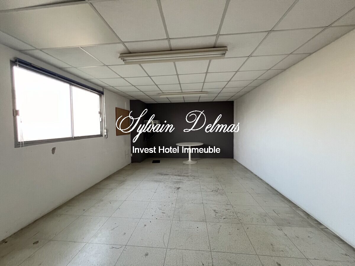 LOCAUX INDUSTRIELS   NAZELLE NEGRON