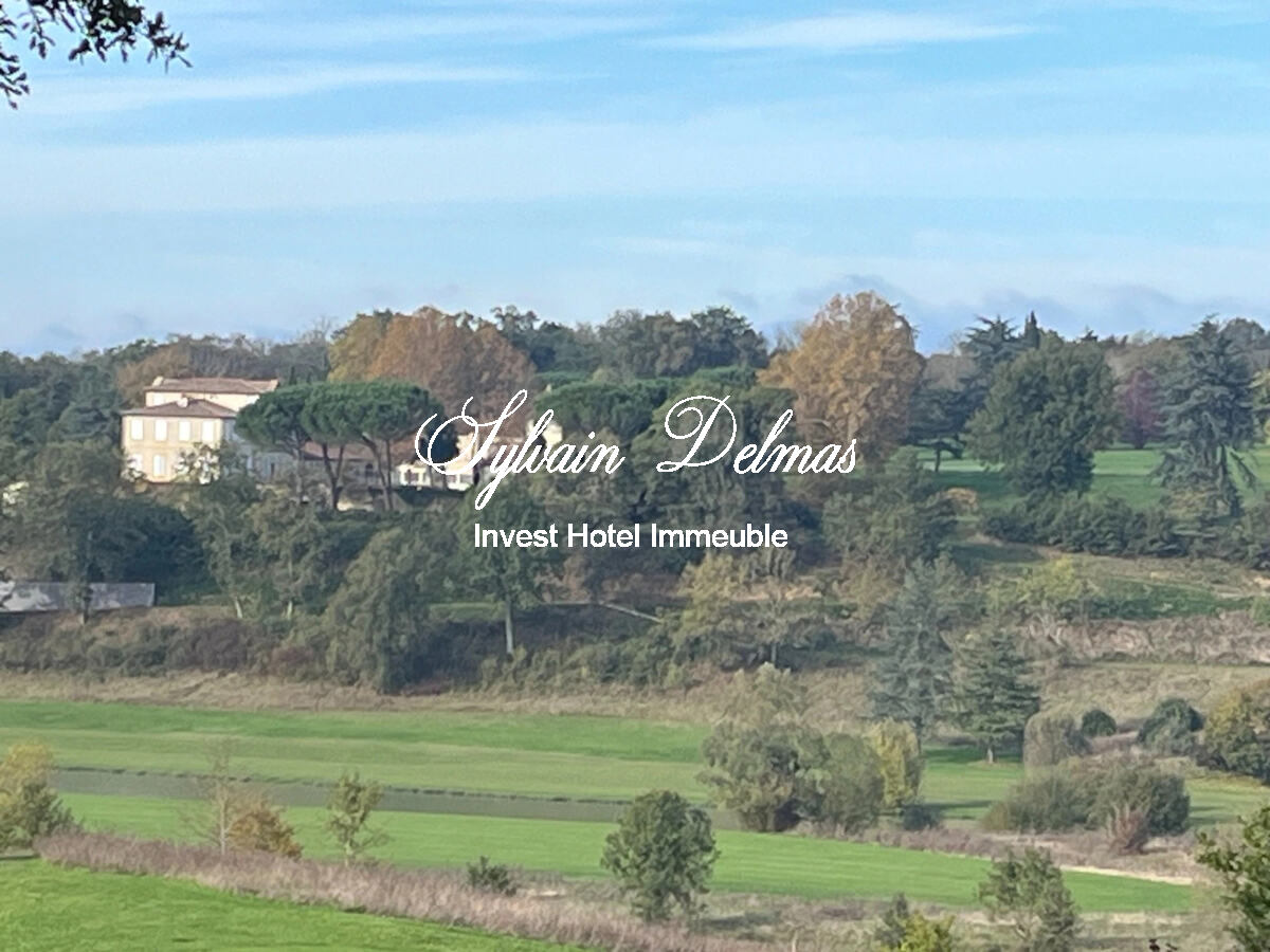 CHATEAU XVIII sur 70 ha, VUE PANORAMIQUE PYRÉNÉES