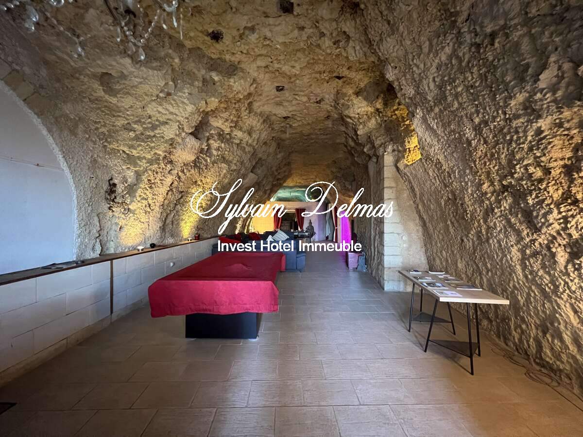 PROPRIETE TROGLODYTE A AMBOISE