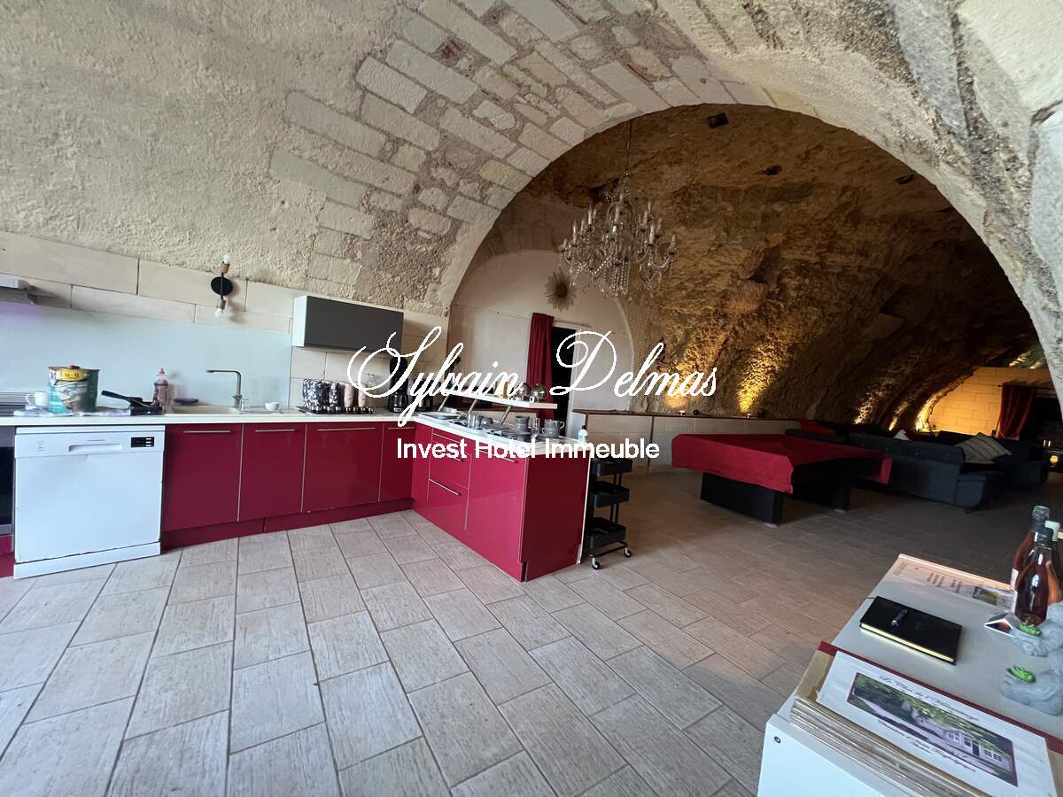 PROPRIETE TROGLODYTE A AMBOISE
