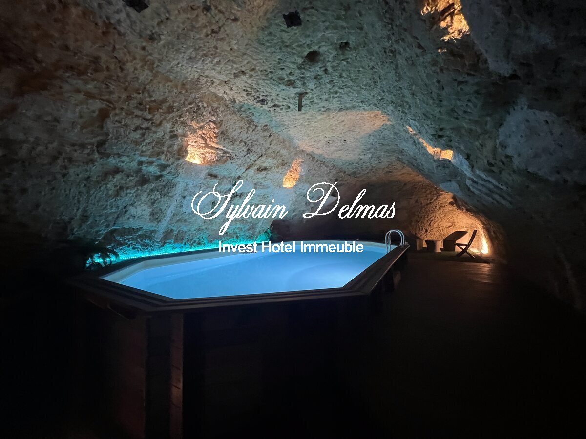 PROPRIETE TROGLODYTE A AMBOISE