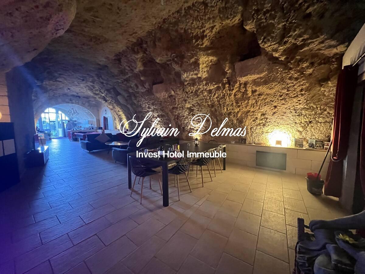 PROPRIETE TROGLODYTE A AMBOISE