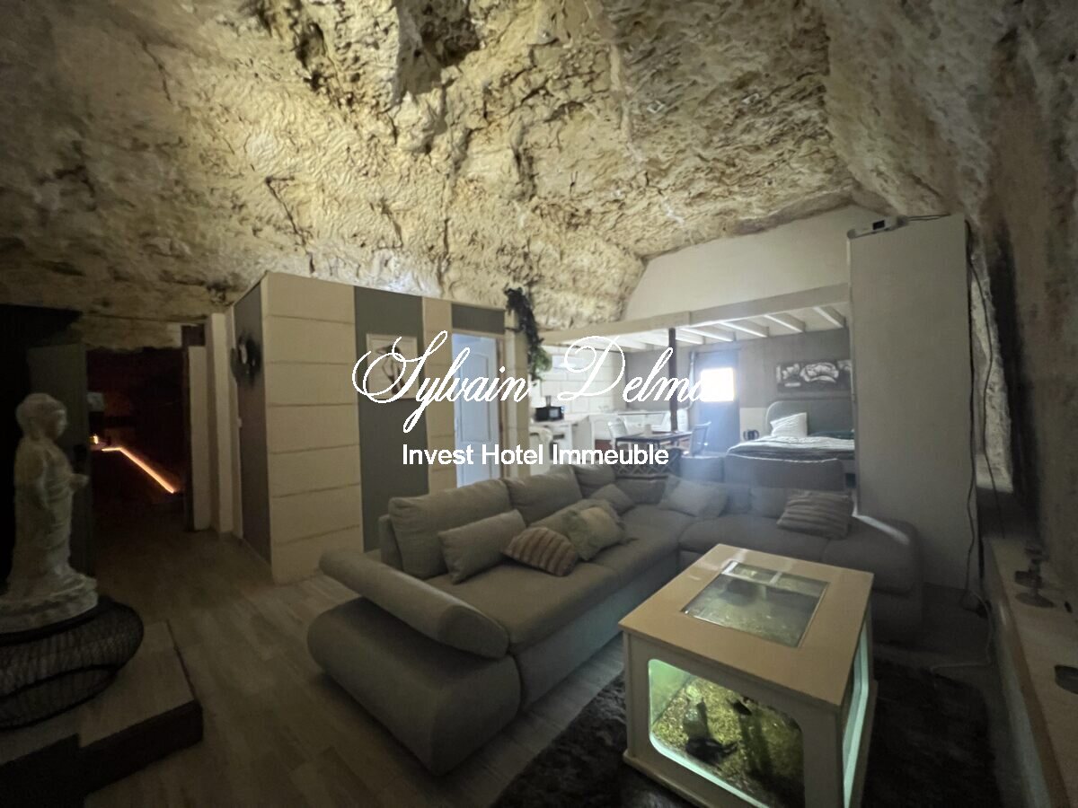 PROPRIETE TROGLODYTE A AMBOISE