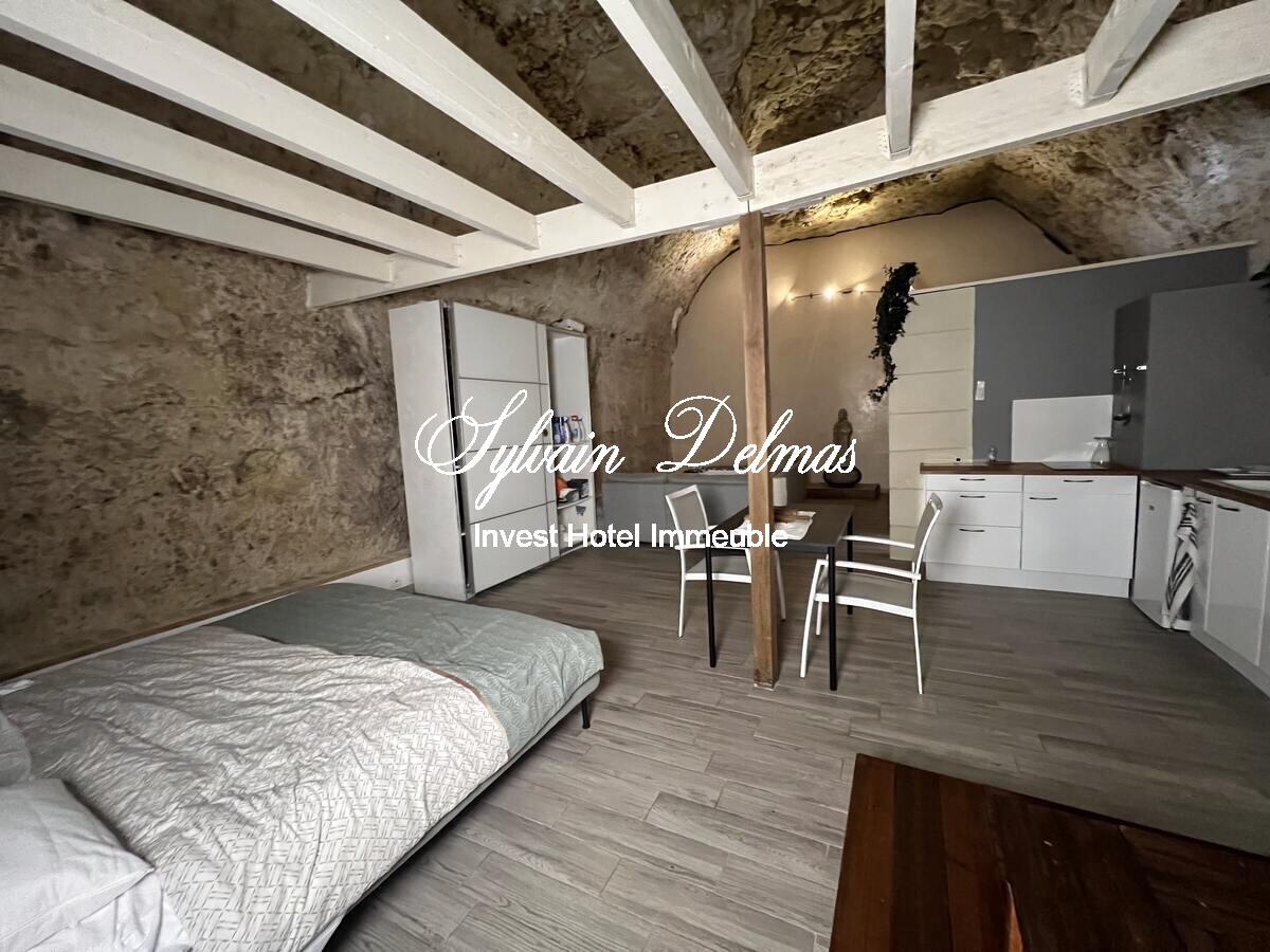 PROPRIETE TROGLODYTE A AMBOISE