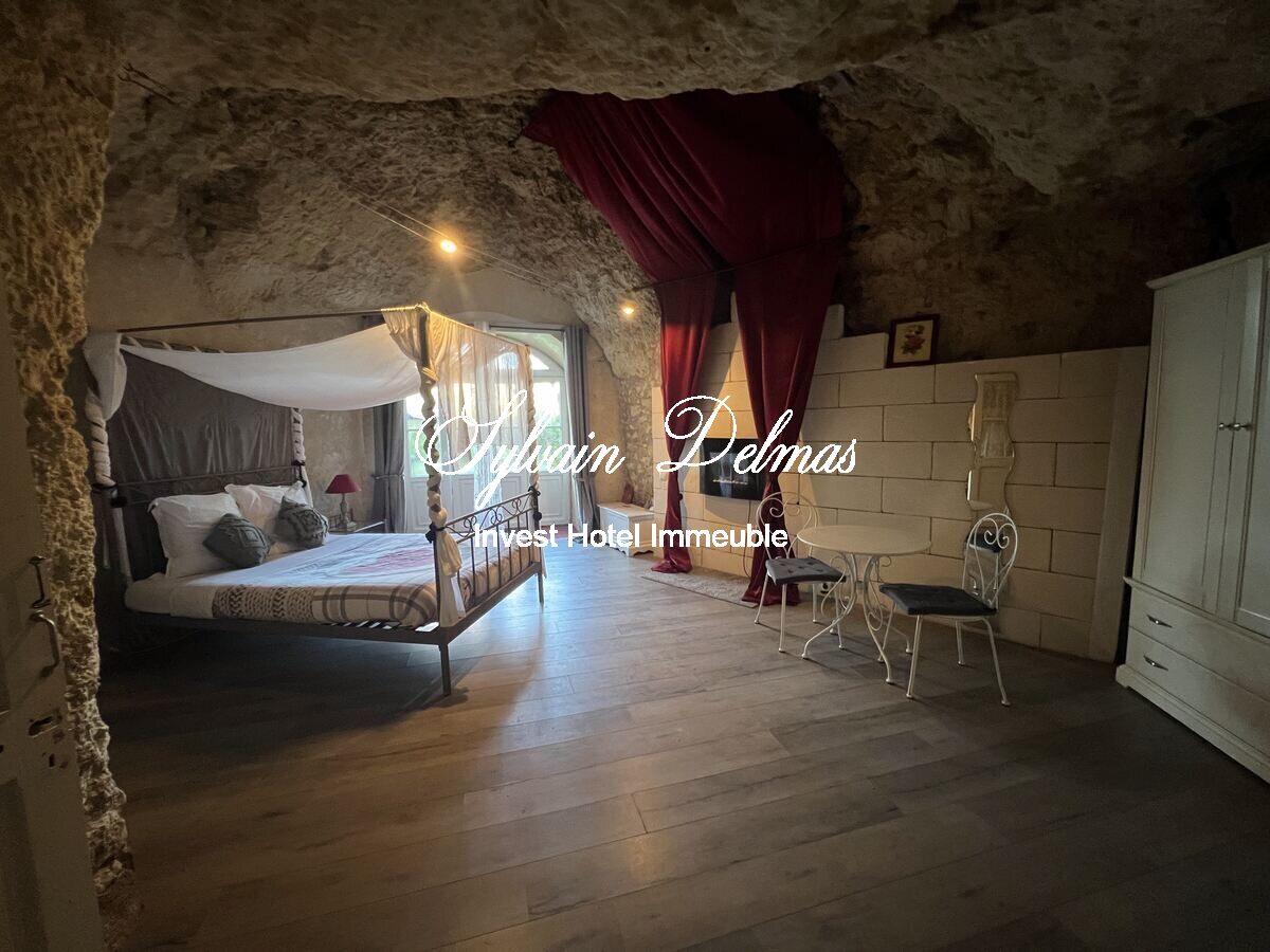 PROPRIETE TROGLODYTE A AMBOISE