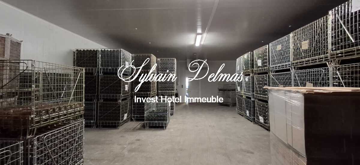 Vignoble: Appellation Chenonceau. Belle Opportunité.  Collectionneur de médailles