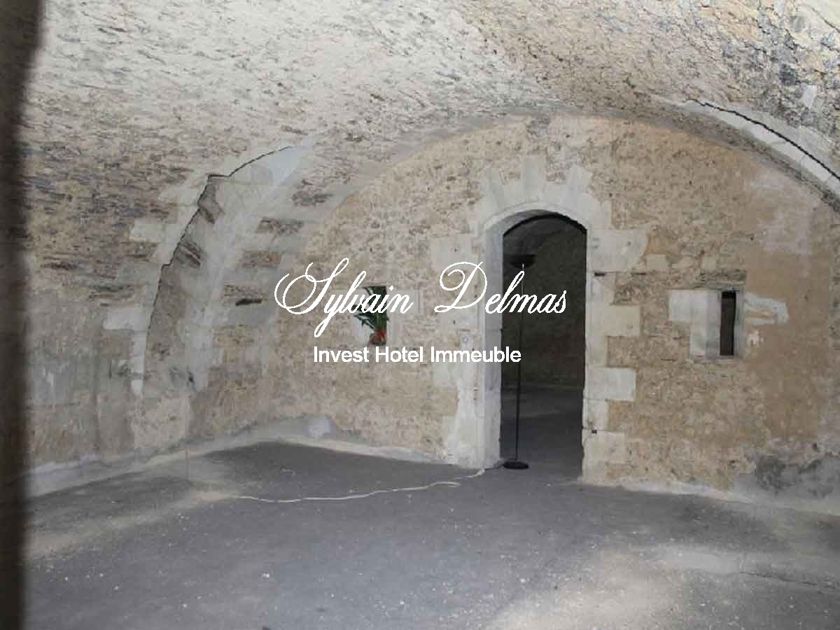 Chateau XVIIIe proche d'ANGERS - 1900 m² - 24 chambres