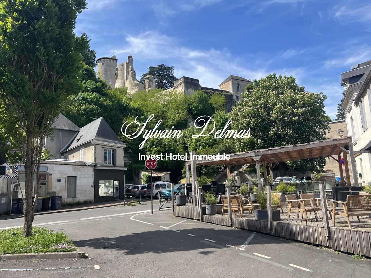 Quartier historique de Vendôme Immeuble de 1000 M2 à restaurer 