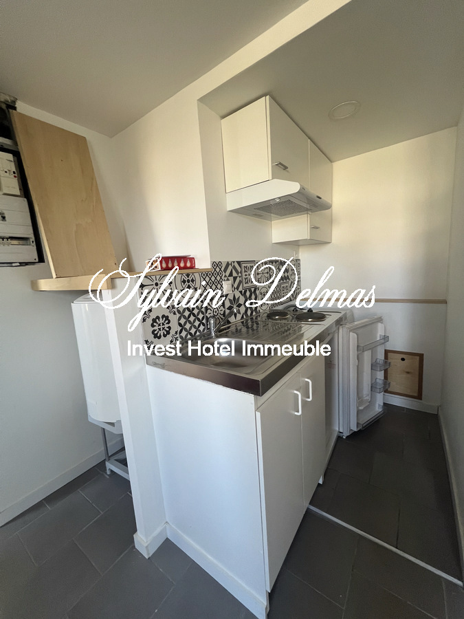 IMMEUBLE DE RAPPORT SAINT CYR SUR LOIRE
