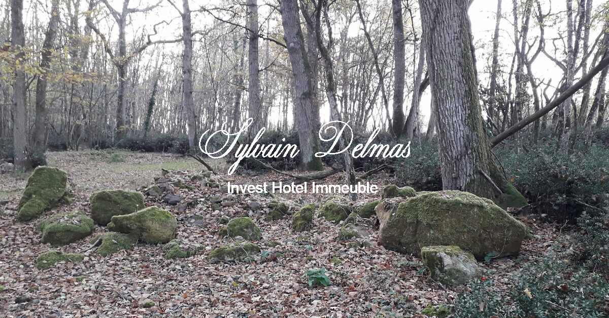 SOMPTEUX CHÂTEAU DU XV DANS UN DOMAINE FORESTIER DE 96 HECTARES